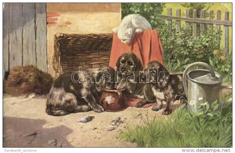 T2/T3 Dog Puppies With Cat, T.S.N. Serie 2050. (EK) - Ohne Zuordnung