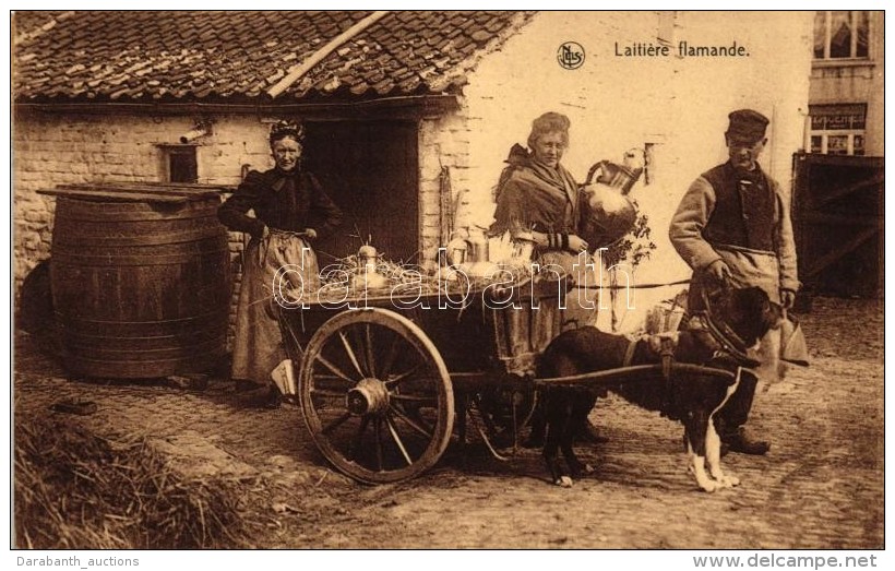 T2 Flemish Dairy, Dog Cart, Folklore - Ohne Zuordnung