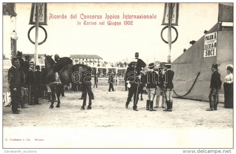 ** T2 1902 Torino, Concorso Ippico Internazionale / Horse Race - Ohne Zuordnung