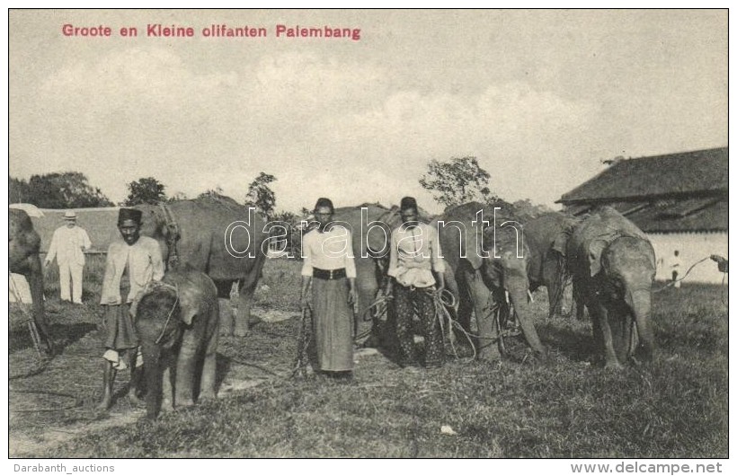 ** T1/T2 Palembang, Groote En Kleine Olifanten / Elephants, Indonesian Folklore - Ohne Zuordnung