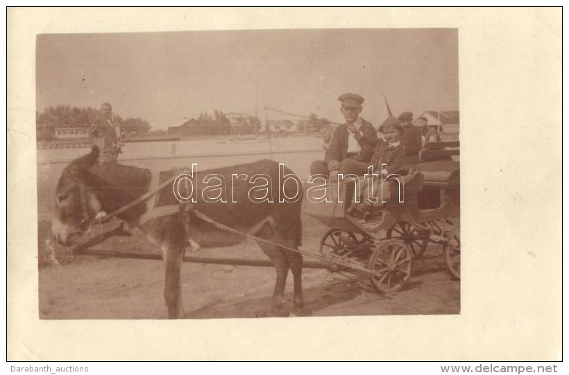 T4 1926 Zamárdi, Szamár Szekér, Photo (b) - Ohne Zuordnung