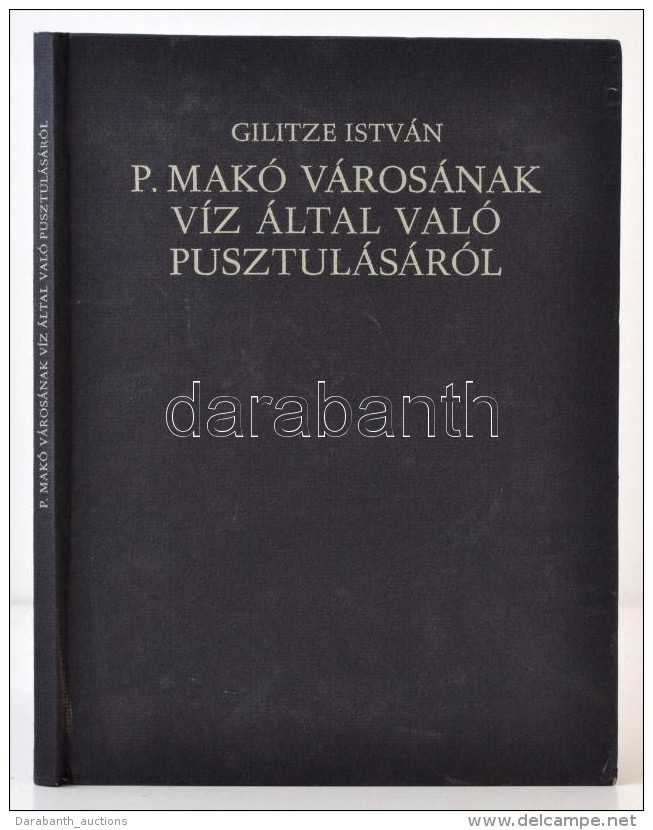 Gilitze István: P. Makó Városának Víz által Való... - Ohne Zuordnung