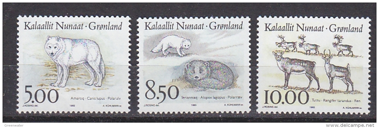 Greenland 1993 Polar Animals 3v ** Mnh (31652I) - Nuevos