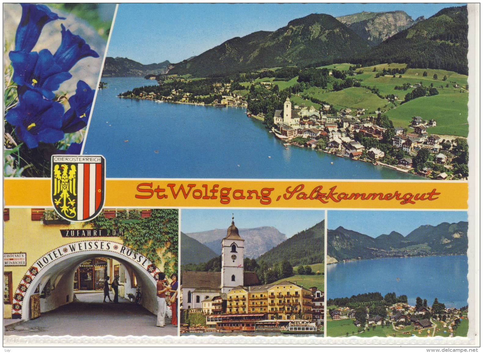 ST. WOLFGANG - Salzkammergut, Mehrbildkarte, Luftbild, Hotel Weisses Rössl, Enzian - St. Wolfgang