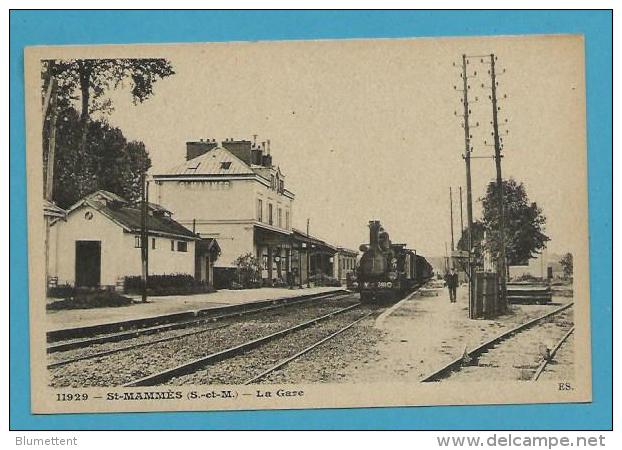 CPA 11929 - Chemin De Fer Train En Gare De ST-MAMMES 77 - Saint Mammes