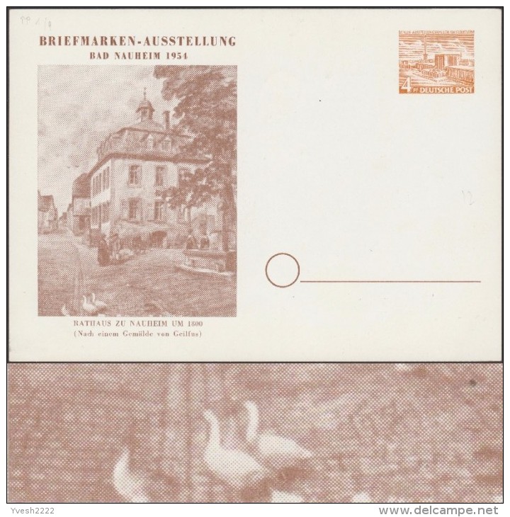 Berlin 1954. Carte Postale, Entier Timbré Sur Commande. Bad Nauheim. Hôtel De Ville En 1800, Fontaine, Canards - Ducks