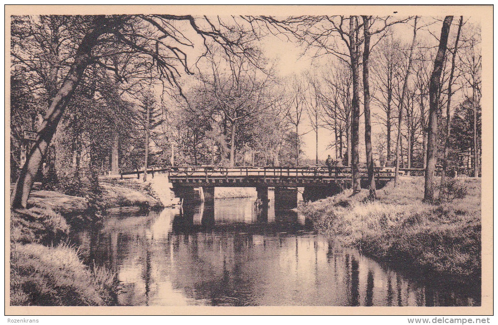 Kasterlee Hotel Bergenhof Familie Pension Pensioen Geelsebaan Netebrug Kempen - Kasterlee