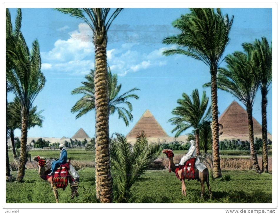 (M+S 310) Egypt - Giza Pyramid - Pyramides