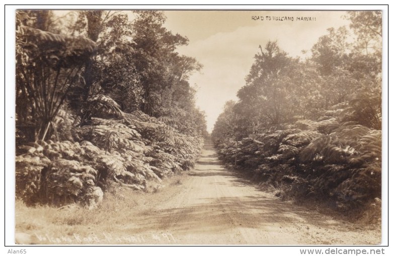 Hawaii, Road To Volcano, Big Island(?) C1910s/20s Vintage Real Photo Postcard - Big Island Of Hawaii