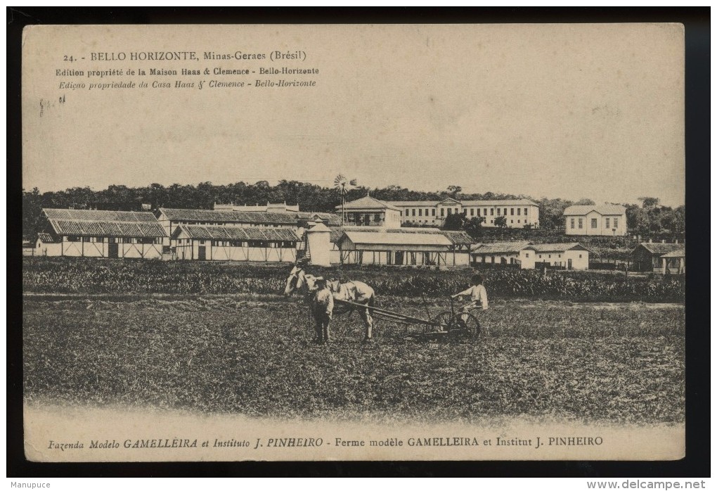 Bello Horizonte Minas Geraes   Ferme Modele Gamelleira Et Institut J Pinheiro - Belo Horizonte