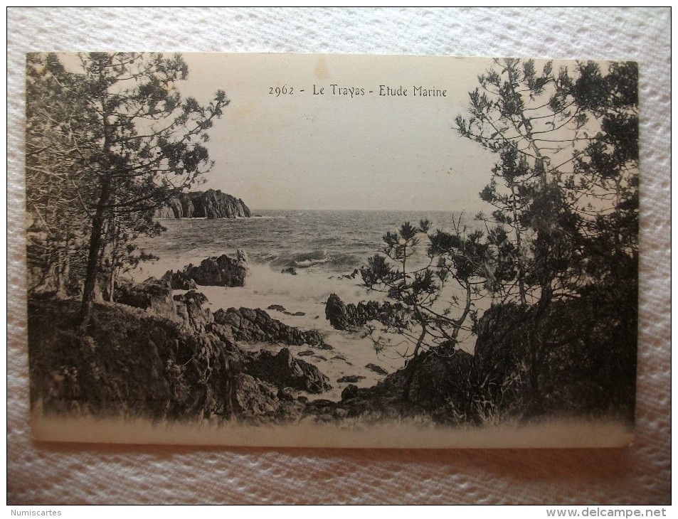 Carte Postale Le Trayas Etude Marine  (Petit Format Non Circulée ) - Sonstige & Ohne Zuordnung