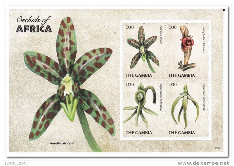 Gambia 2011, Postfris MNH, Flowers, Orchids - Gambia (1965-...)