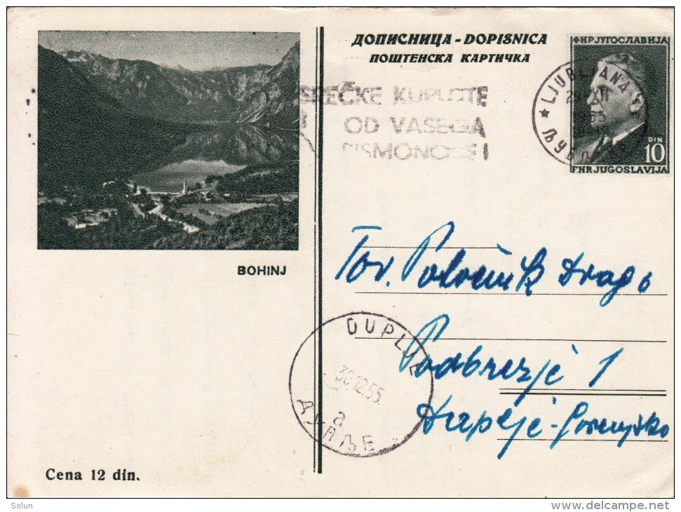 JUGOSLAVIJA YUGOSLAVIA DOPISNICA CARTE POSTALE ILLUSTRATED CARD 1955 BOHINJ LJUBLJANA DUPLJE - Entiers Postaux