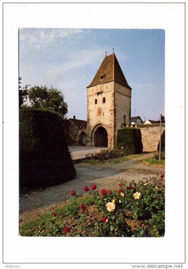 Carte Rosheim Porte - Rothau