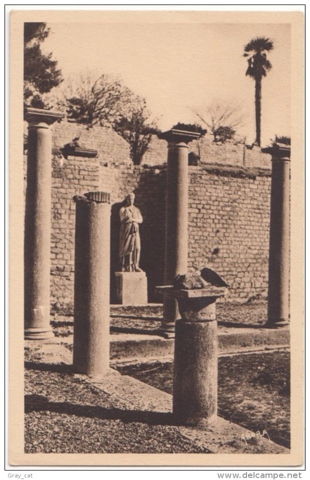 France, VAISON-la-ROMAINE, Portique De Pompee: Angle Est Avec Statue De Sabine, Unused Postcard [18442] - Vaison La Romaine