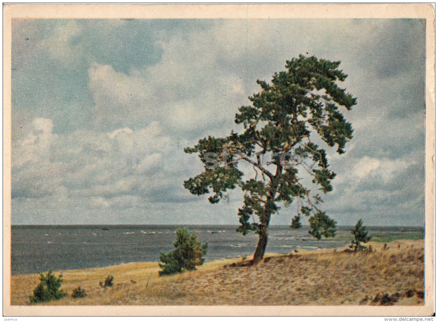 Pärnu Bay Beach - 1955 - Estonia USSR - Unused - Estonie