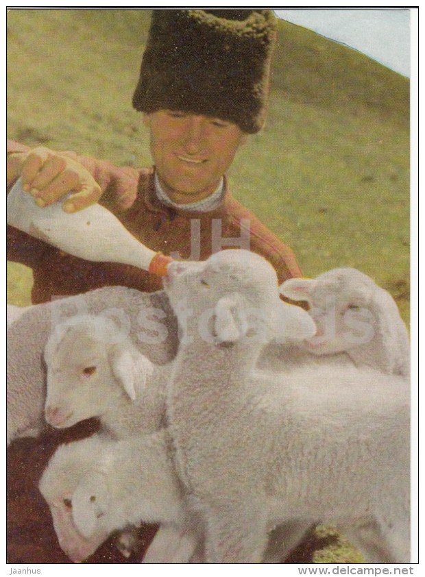 Caring Shepherd - Lamb - 1966 - Moldova USSR - Unused - Moldavie