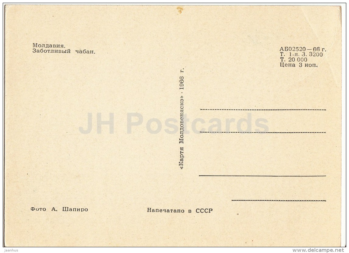 Caring Shepherd - Lamb - 1966 - Moldova USSR - Unused - Moldavie