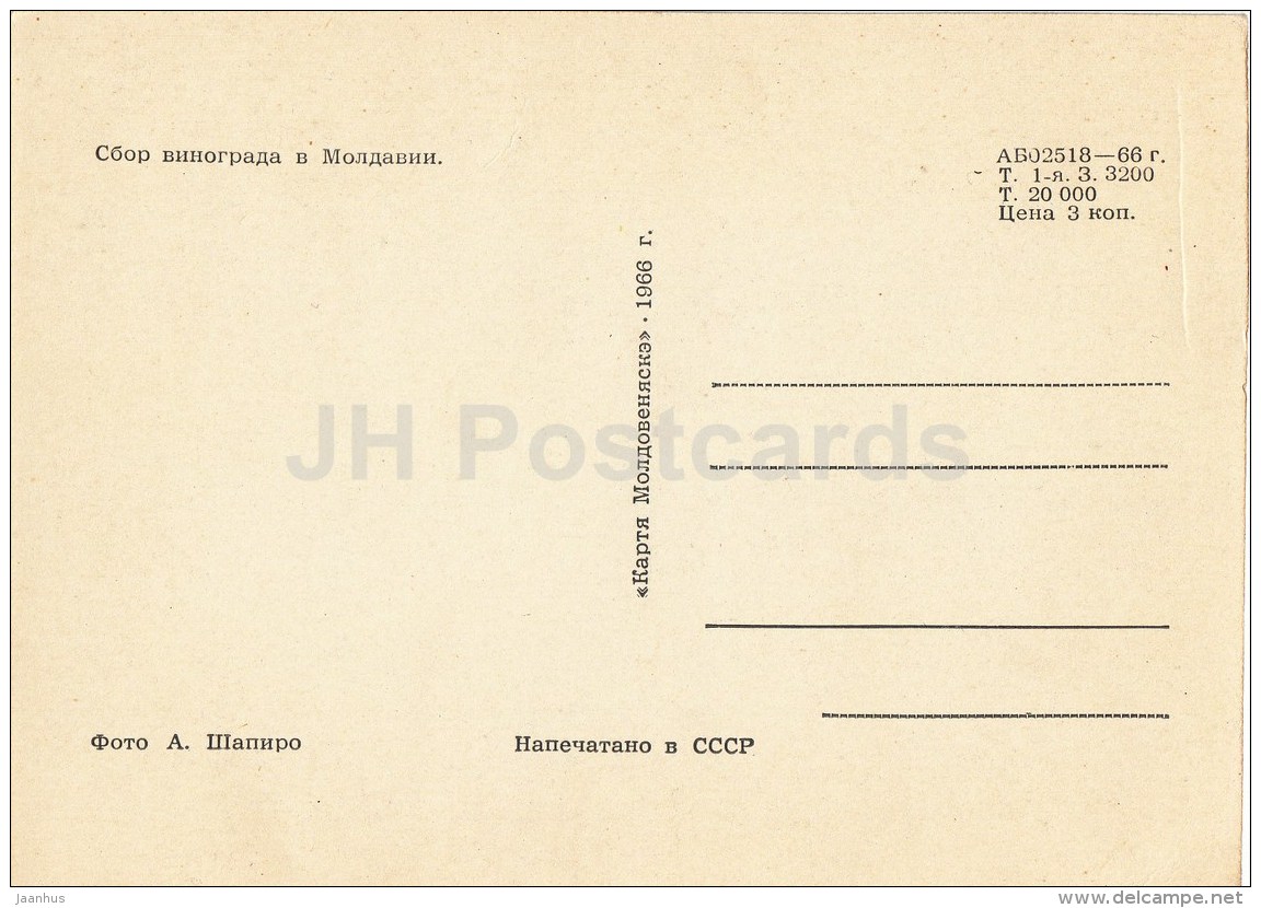 Grape Harvest - 1966 - Moldova USSR - Unused - Moldavie