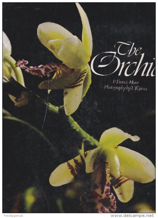 ORCHID SUPERBE LIVRE SUR LES ORCHIDEES LIVRE EN ANGLAIS - Autres & Non Classés