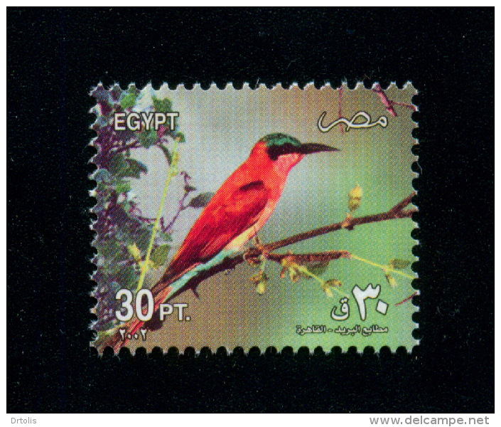 EGYPT / 2002 /  BIRDS / OISEAUX / VÖGEL / UCCELLI / PUTNI / AVES / PASARI - Unused Stamps