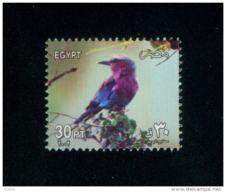 EGYPT / 2002 /  BIRDS / OISEAUX / VÖGEL / UCCELLI / PUTNI / AVES / PASARI - Unused Stamps