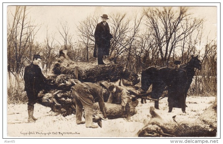 Exaggeration Photo Hunting Piling Up Giant Rabbits, 1907 Martin Photographer, C1900s Vintage Postcard - Photographie