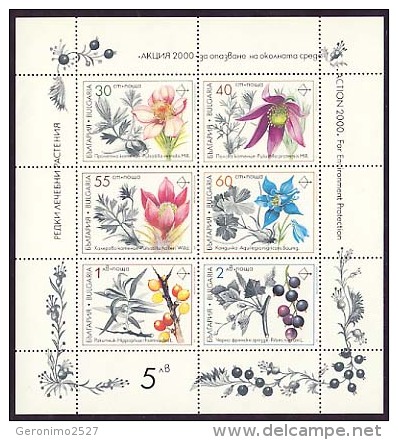 BULGARIA 1991 FLORA Flowers RARE MEDICAL PLANTS - Fine S/S MNH - Geneeskrachtige Planten