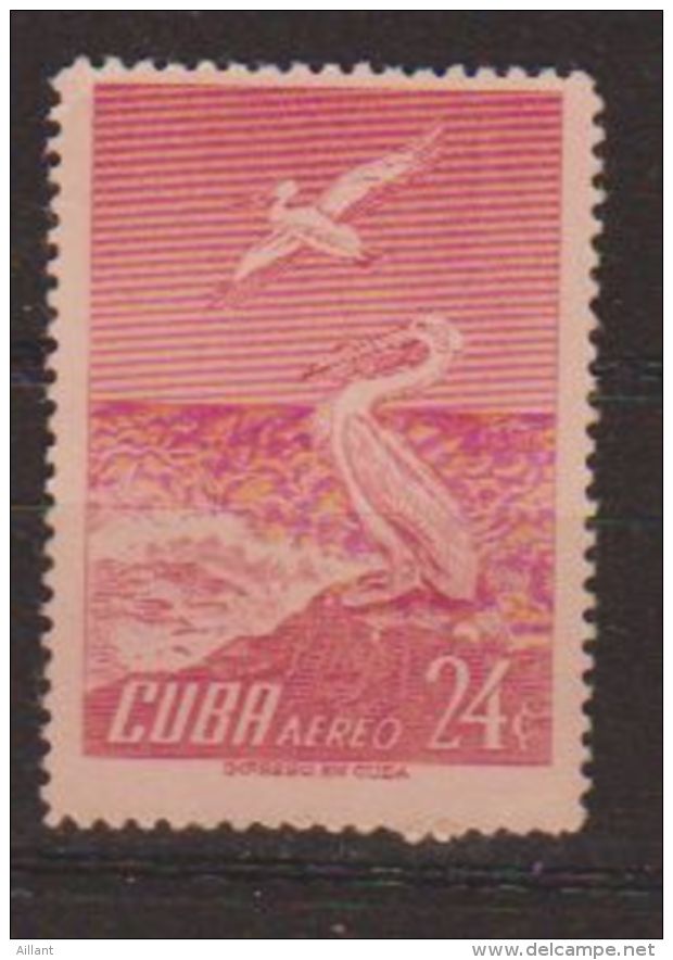 Cuba. 1956.  Pélican D'Amérique   Pelecanus Erythrorhynchos - Pelikane