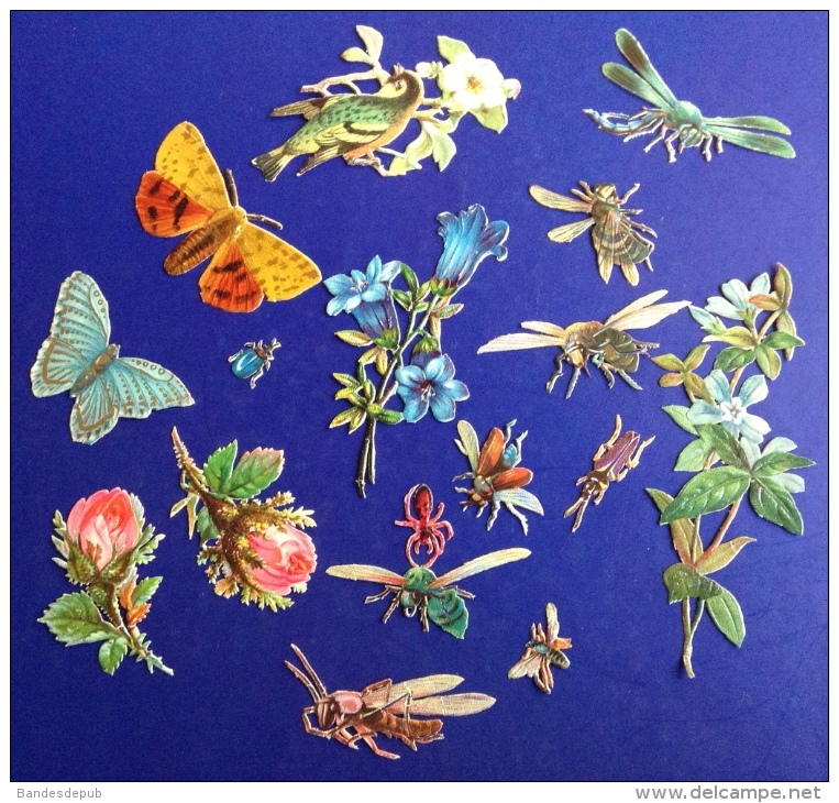 New Prix Fixe Beau Decoupis Chromo Lot Fleurs Insecte Papillon Abeille - Other & Unclassified