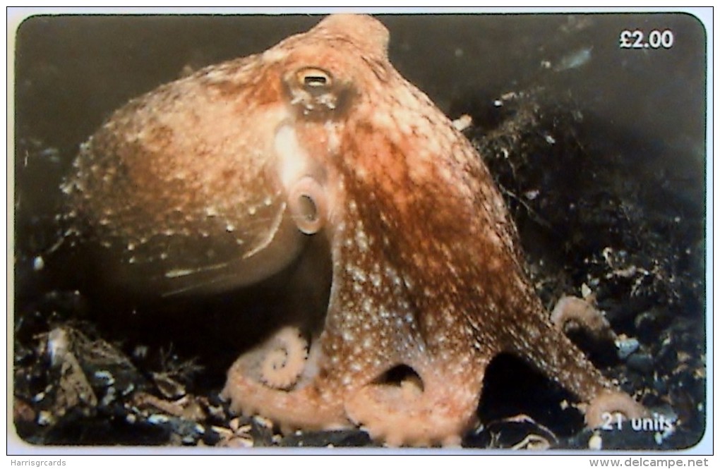ISLE OF MAN - Curled Octopus, Tirage 20000, Used - Isle Of Man