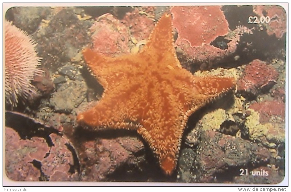 ISLE OF MAN - Red Cushion Starfish, Tirage 20000, Used - Isla De Man