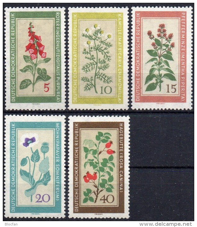 Fingerhut Heilpflanzen 1960 DDR 757/1 ** 8€ Kamille Pfefferminze Mohn Hecken-Rosen Naturschutz Flora Rosa Set Of Germany - Natura