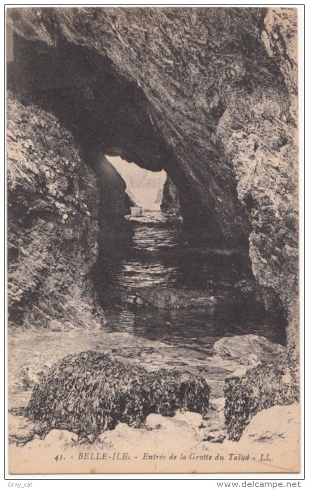 France, BELLE-ILE, Entree De La Grotte Du Talud, Unused Postcard [18585] - Belle Ile En Mer