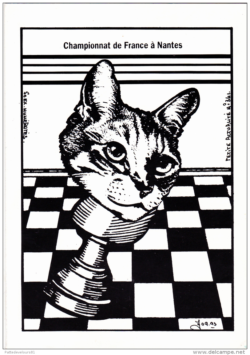 CPSM NANTES Sport Jeu Championnat De France Echecs Chess Chess-board Chat Cat Catze Tirage Limité Illustrateur LARDIE - Echecs