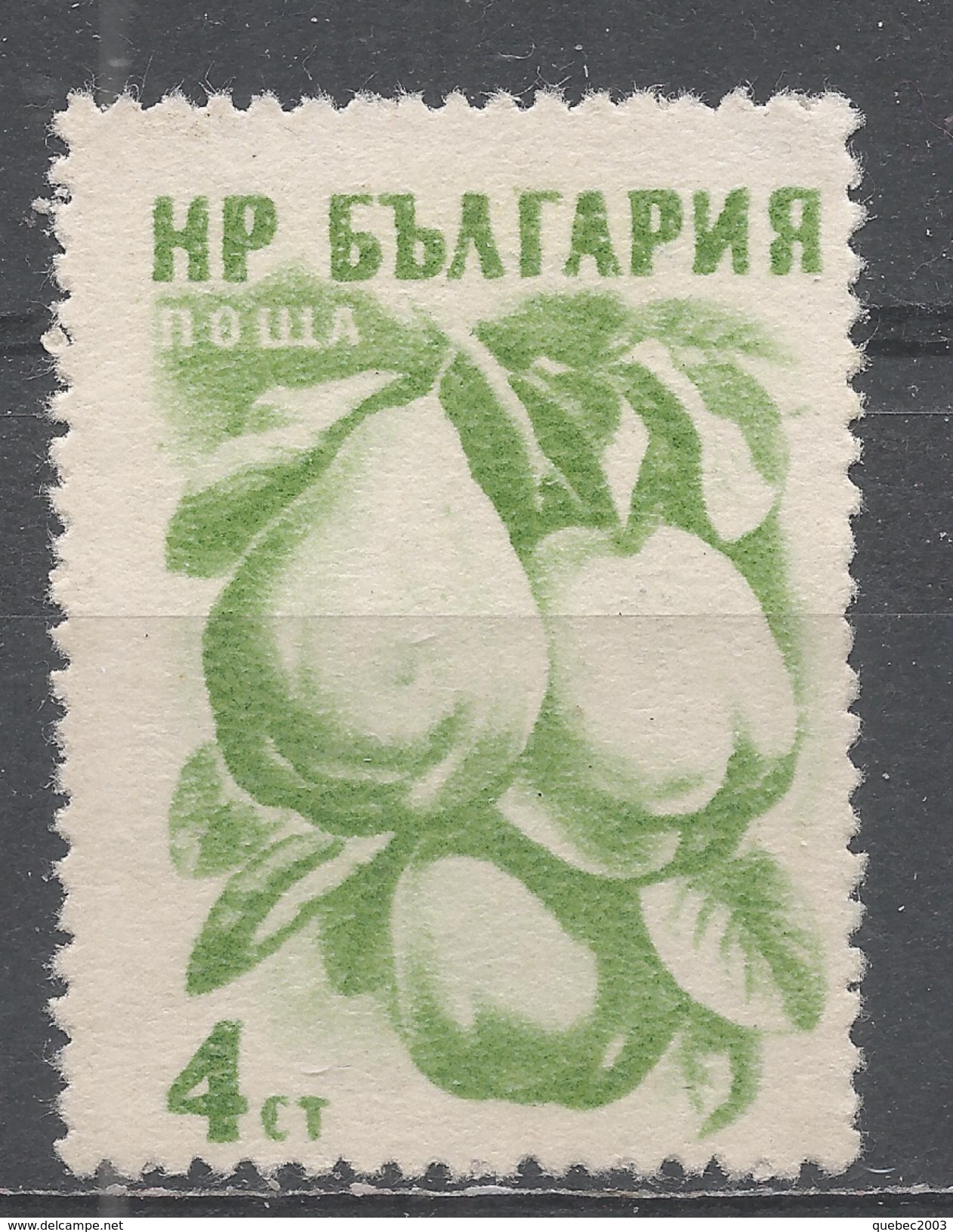 Bulgaria 1957. Scott #964 (M) Fruits: Quinces - Neufs