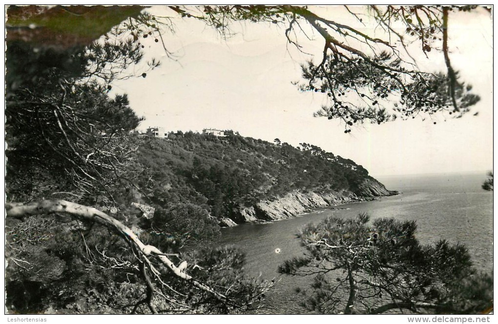 CAVALAIRE SUR MER CAP VIGIE - Cavalaire-sur-Mer