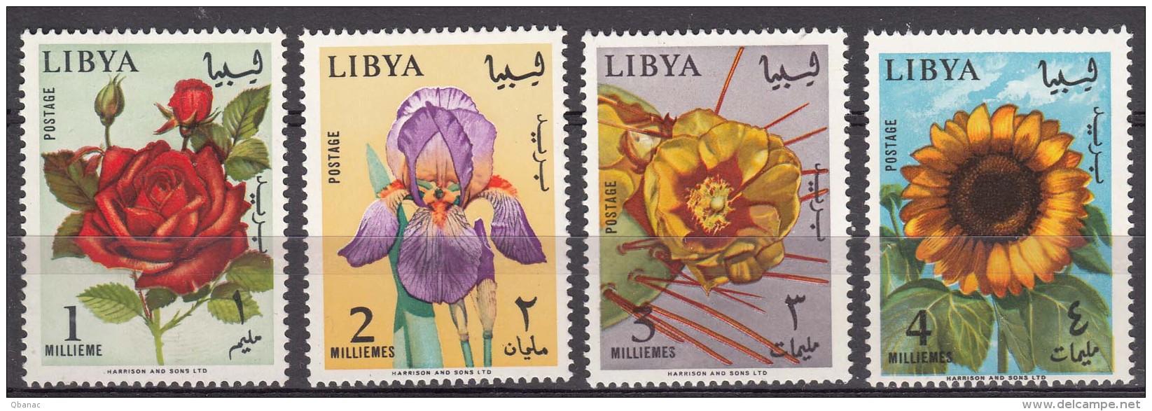 Libya Flowers 1965 Mi#193-196 Mint Never Hinged - Libyen