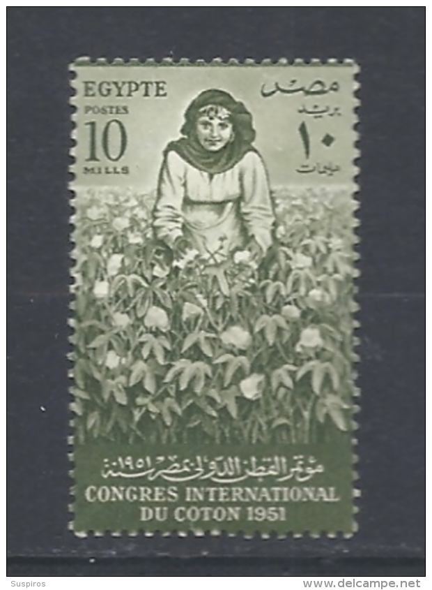 Egitto   1951 International Cotton Congress, Cairo Hinged Yvert 279 - Gebruikt