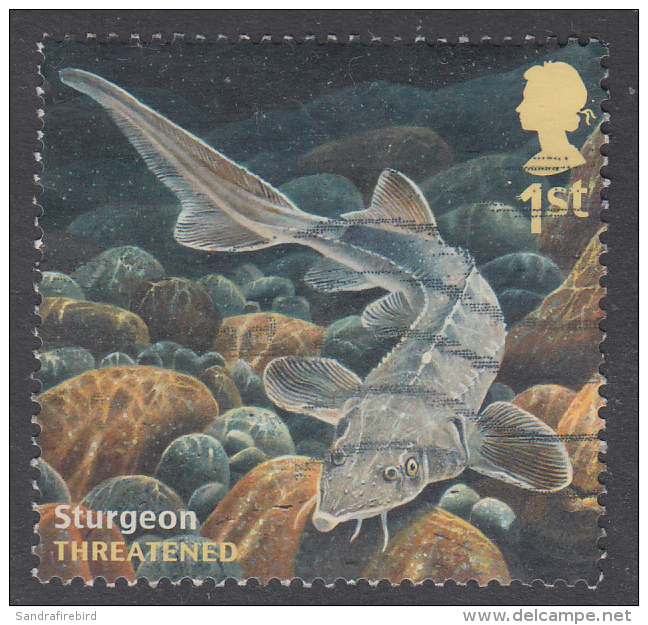 GREAT BRITAIN - 2014   Sustainable Fish - European Sea Sturgeon (Acipenser Sturio) 1st SG3617 Used - Used Stamps