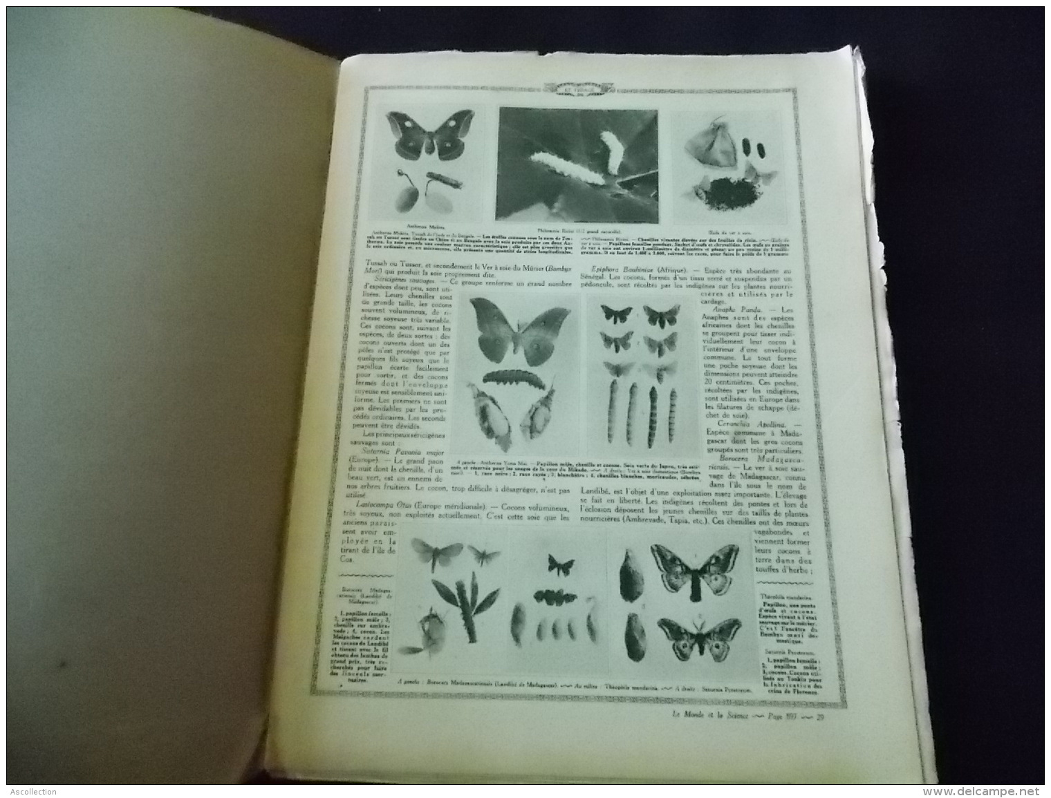 Le Monde Et La Science N 29 Tissage " Papillon Metier Mecanique Filature " - Encyclopédies