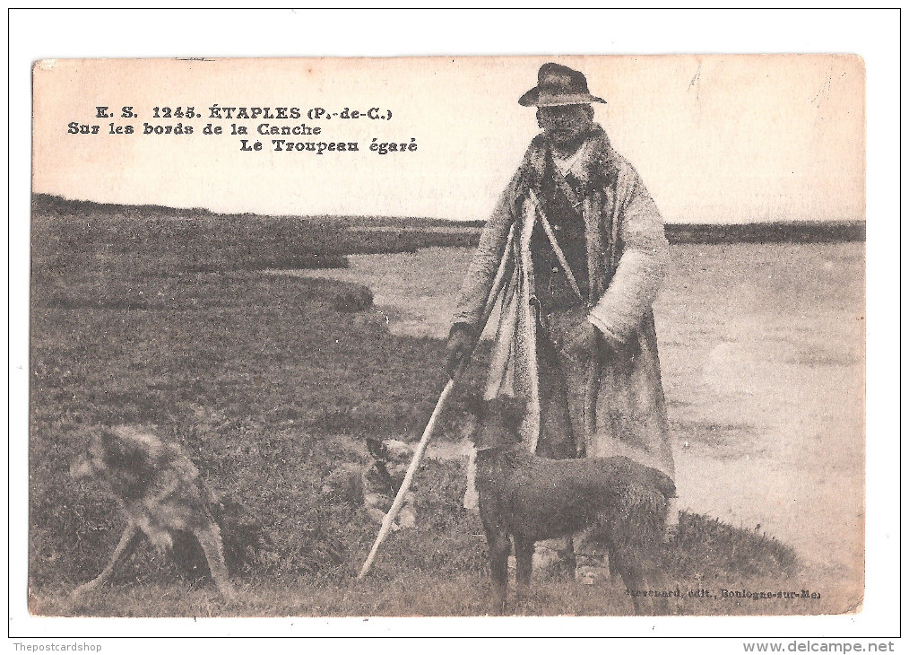 Etaples Pas De Calais Sur Les Bords De La Canche  Le Troupeau Egaré  Berger Et Chiens Dogs UNUSED Achat Immédiat - Etaples