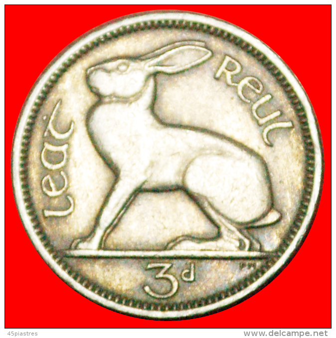 § HARE: IRELAND &#9733; 3 PENCE 1962! LOW START &#9733; NO RESERVE! - Irlande