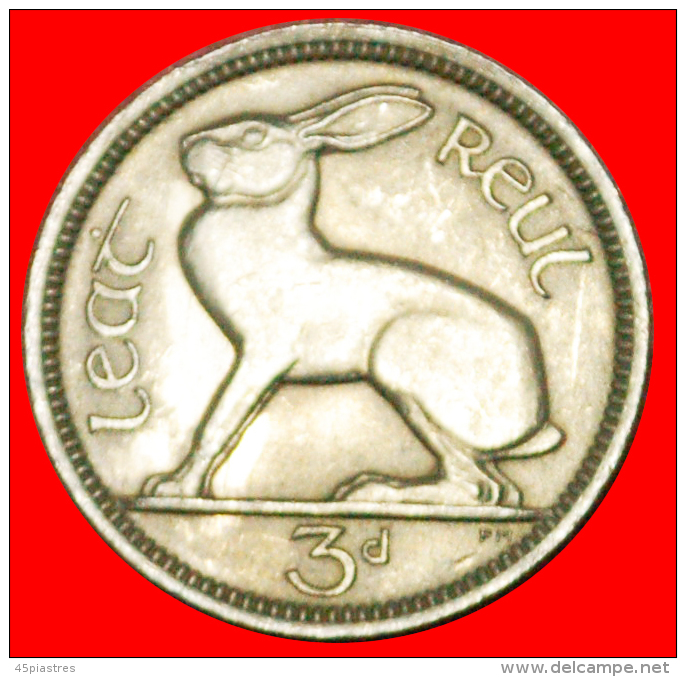 § HARE: IRELAND &#9733; 3 PENCE 1966! LOW START &#9733; NO RESERVE! - Ierland