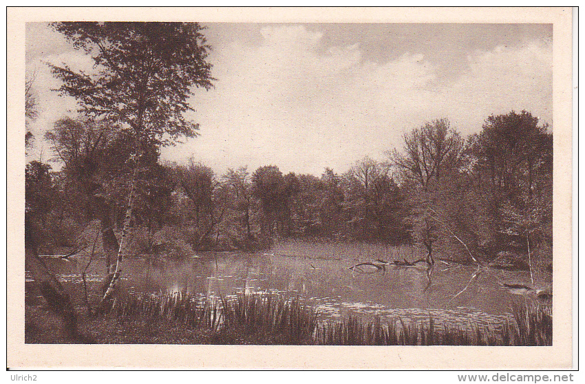 AK Wien - Schönbrunn - Schwarze Lacke Im Fasangarten - Ca. 1920/30 (24514) - Château De Schönbrunn