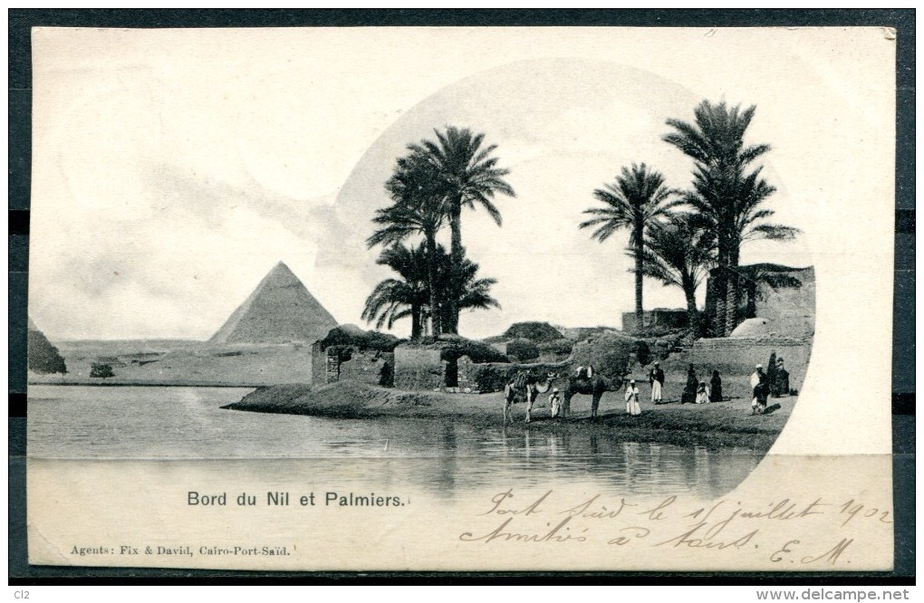 # - Bord Du Nil Et Palmiers (affranchissement De Port Saïd) - Pyramids