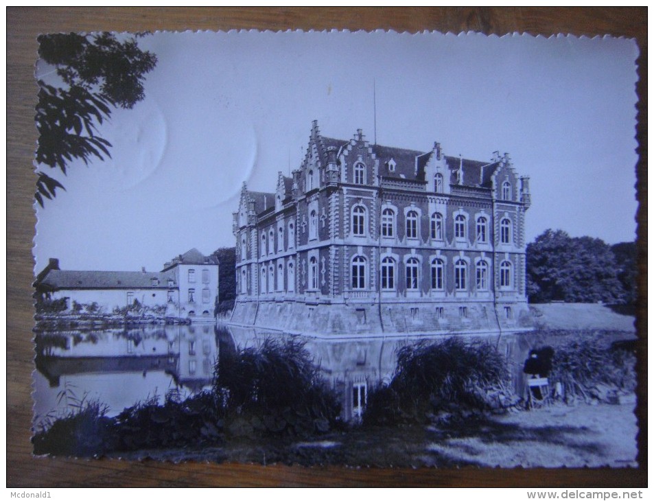 ESTAIMBOURG ( ESTAIMPUIS ) Le Château De Bourgogne - Estaimpuis