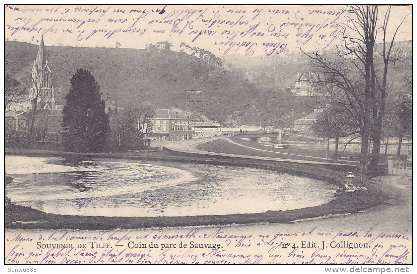 Souvenir De Tilff - Coin Du Parc De Sauvage (Edit. J Collignon, 1907) - Esneux