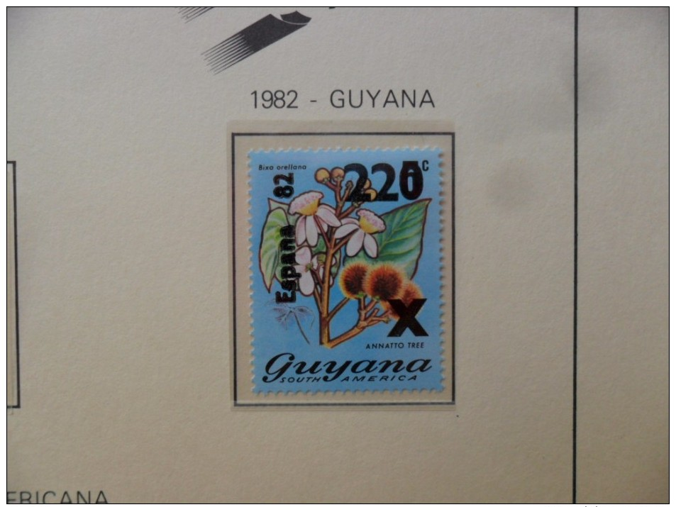 GUYANA 1982. FOOTBALL WORLD CUP. SPAIN-82 . IVERT 698  MNH** - Guyana (1966-...)