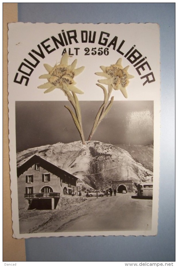 SOUVENIR DU  GALIBIER  --- ( FLEURS -Edelweiss ) - Other & Unclassified